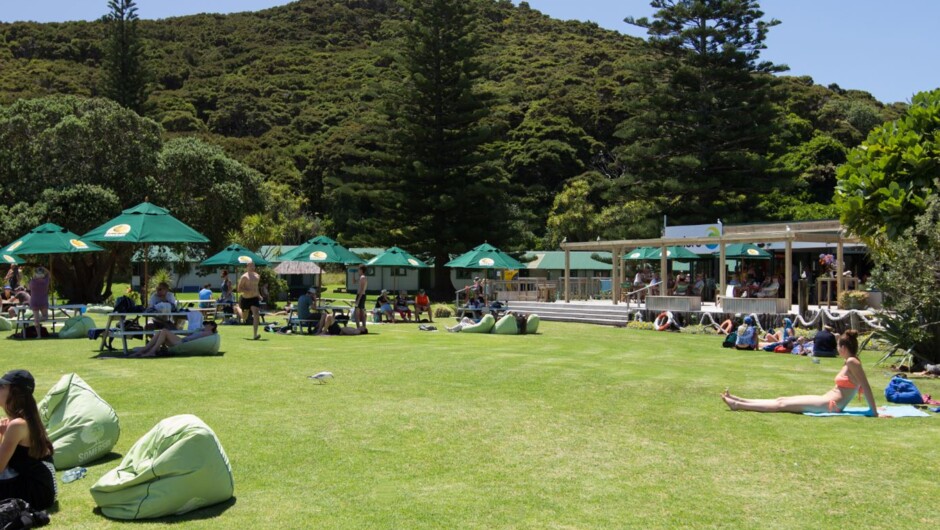 Grass area at Otehei Bay