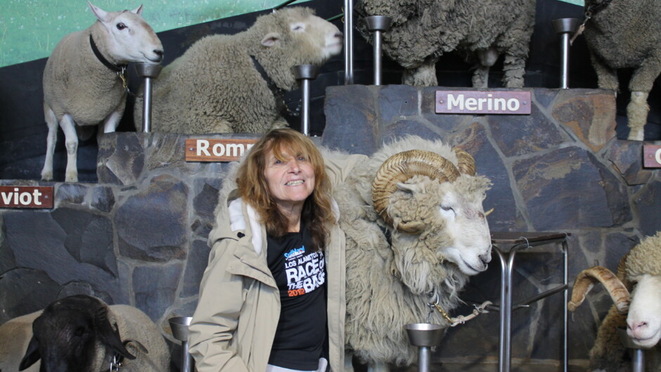 Agrodome in Rotorua