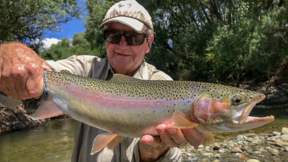 Rainbows galore in some streams