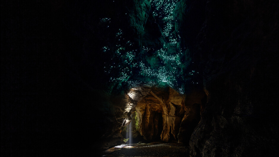 Magic night time glowworm display at the cave exit