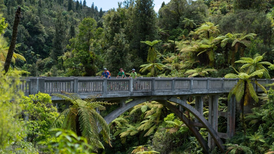 Bridge to Nowhere, Whanganui River