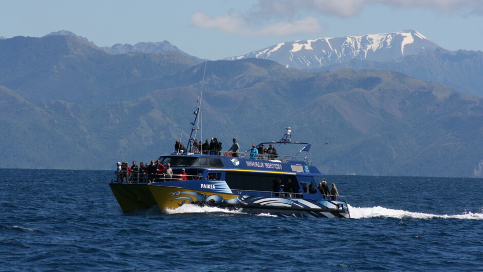 Kaikoura Boat