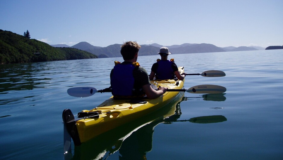 Marlborough Sounds Kayak