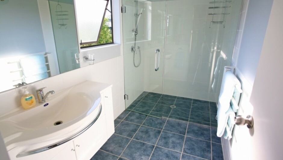 Bathroom with walk-in shower