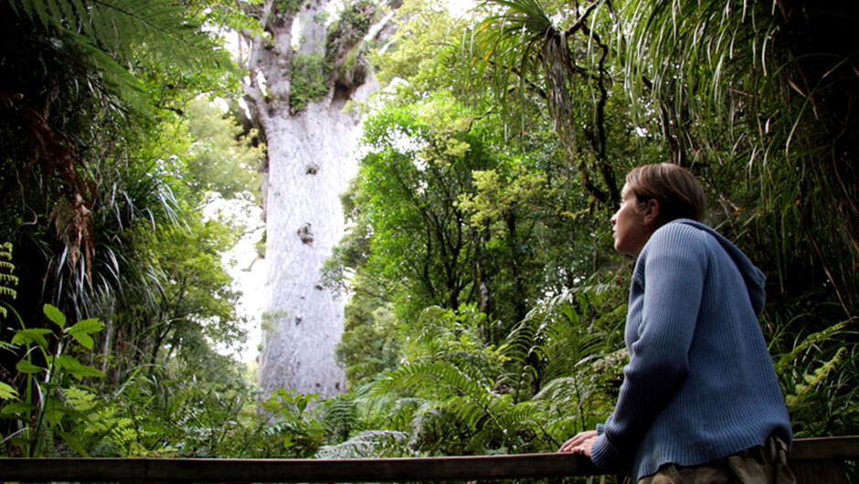 Tane Mahuta -The Lord of the Forest