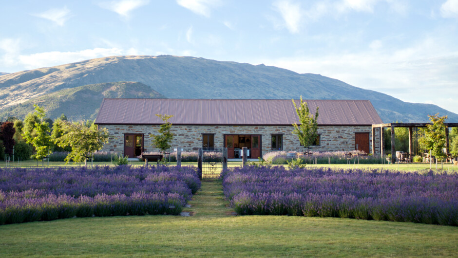 Wānaka Lavendel Farm
