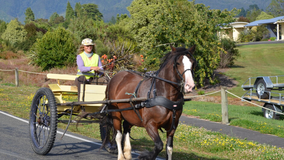 Baerbel on a cart ride