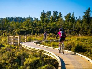 Cycle the West Coast Wilderness Trail with Adventure South