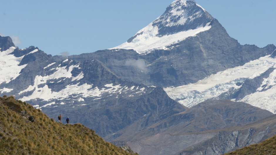 Hike along spectacular ridge lines with outstanding views of Mt Aspiring National Park.