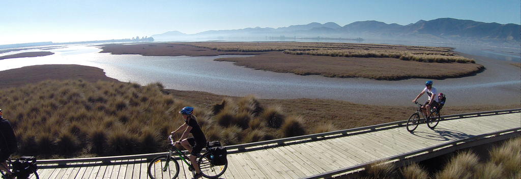 Cycling on the Tasman Great Taste Trail