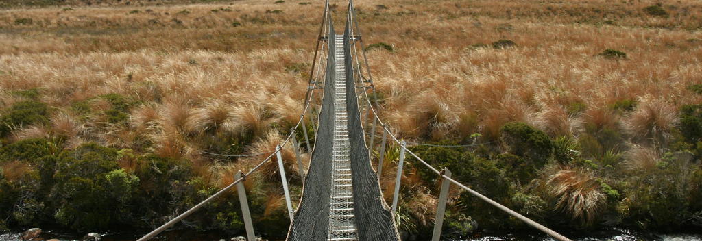 A bridge over a river on the Heaphy Track in Kahurangi National Park.