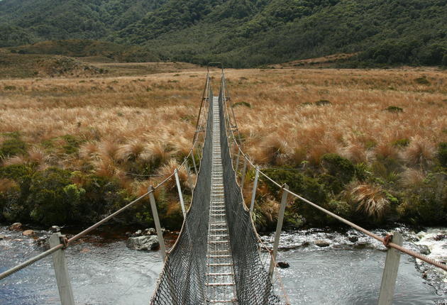 Der Kahurangi ist eine wilde, vielfältige Landschaft – eine verlockende Welt mit Marmorbergen und friedlichen, palmengesäumten Stränden.