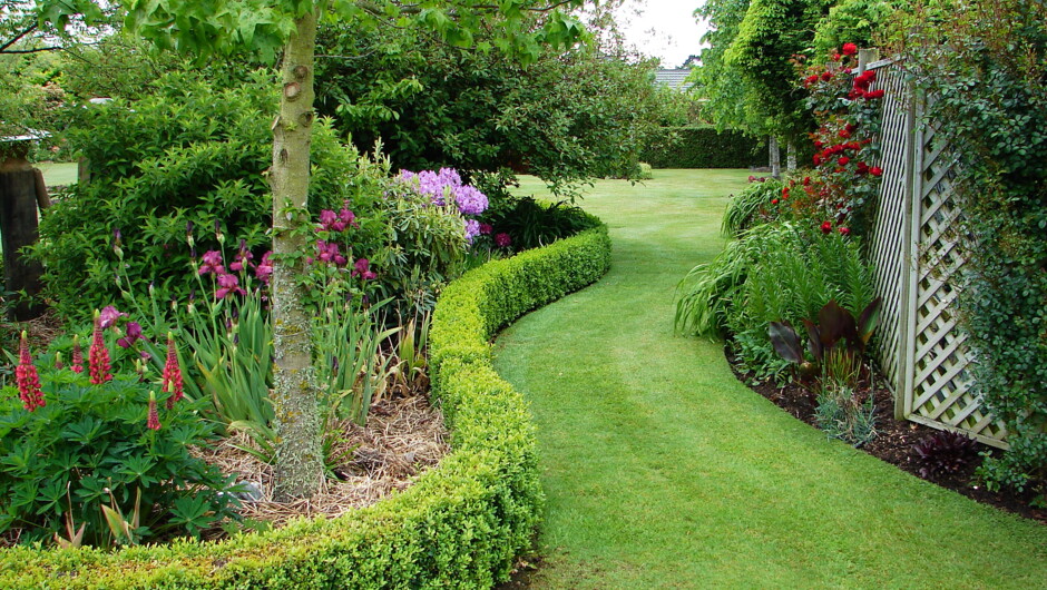 Spacious, peaceful gardens to relax in.