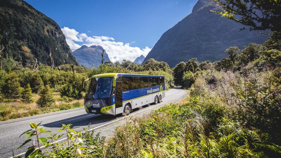 Milford Sound Coach & Cruise (from Queenstown) - Real Journeys