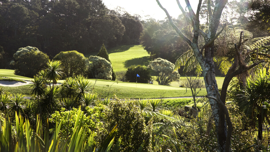 10th hole from 16th tee, Titirangi Golf Club