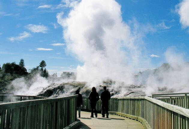 マオリ文化と地熱活動、温泉、泥のプールで有名なニュージーランド北島のロトルアは、ニュージーランドに行くなら必ず訪れたい、見どころ満載の観光地です。