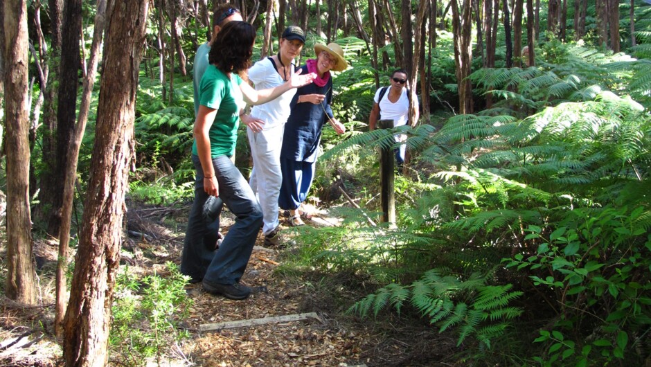 Enjoying our "Forest Ecology Walk".