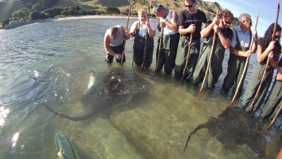 Reef Ecology Tour