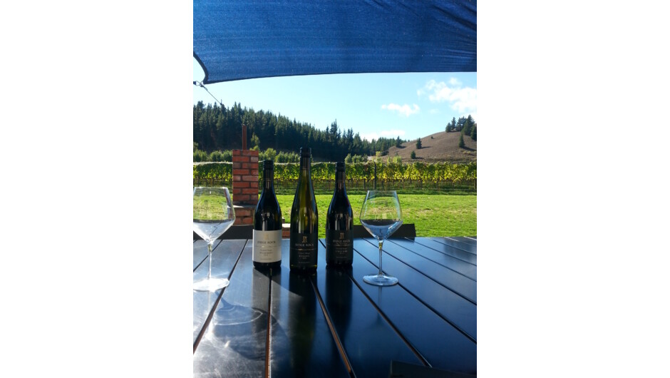 Wine Tasting overlooking the vineyard