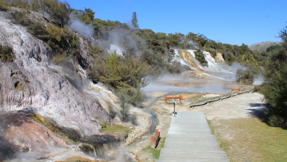 Enjoy a leisurely stroll around the breathtaking geothermal features and stunning native bush at Orakei Korako.