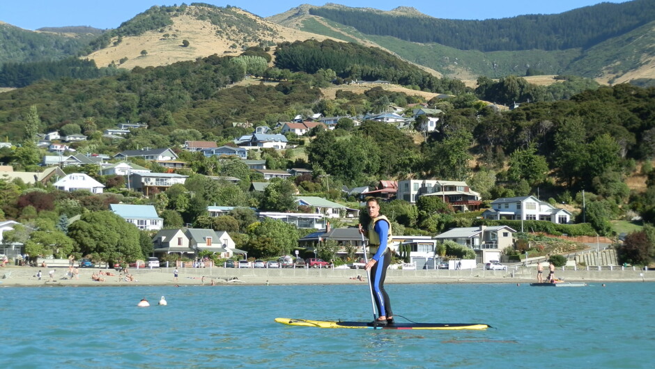 SUP in Akaroa Harbour