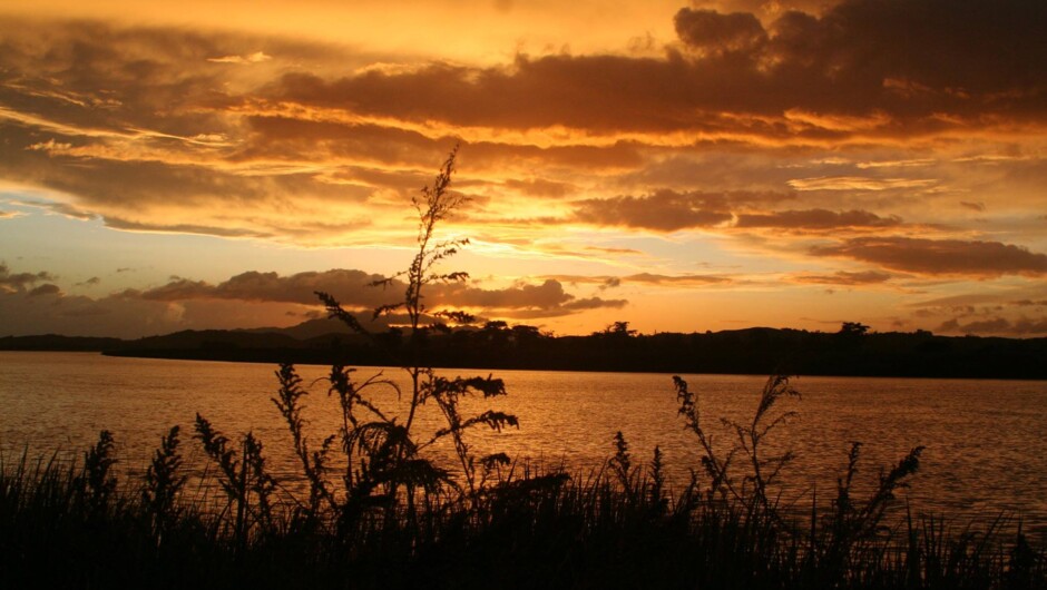 Sunrise from the Dargaville Park Over, River Road, Dargaville