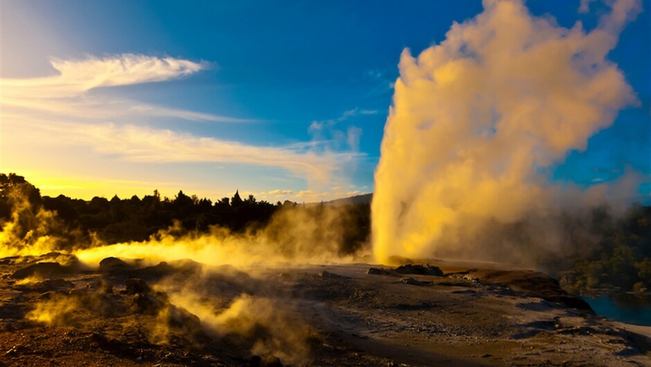 Visit Rotorua with Auckland & Beyond Tours