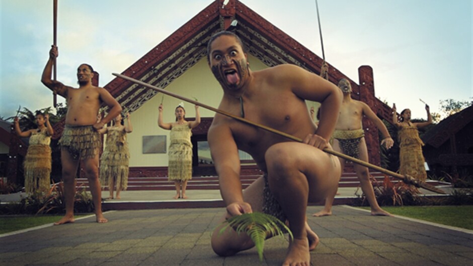 Visit Te Puia with Auckland & Beyond Tours