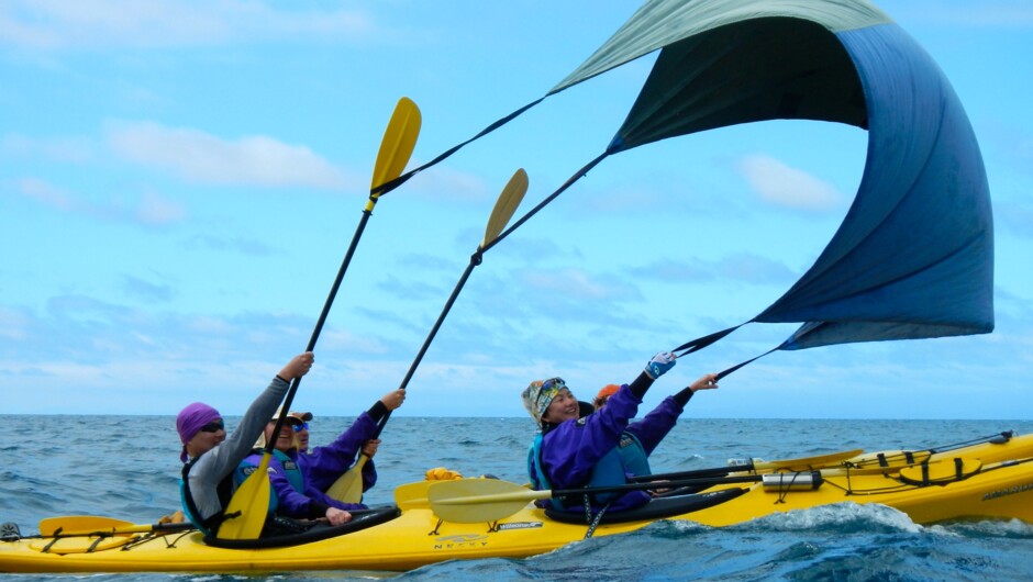 Try kayak sailing