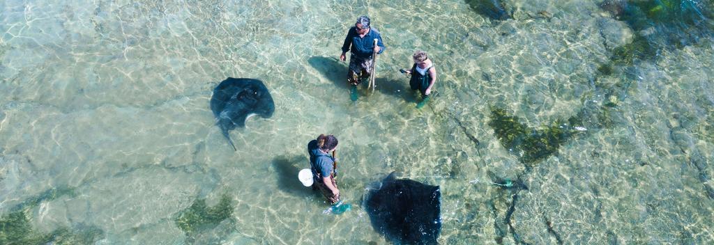 Aerial view of reef