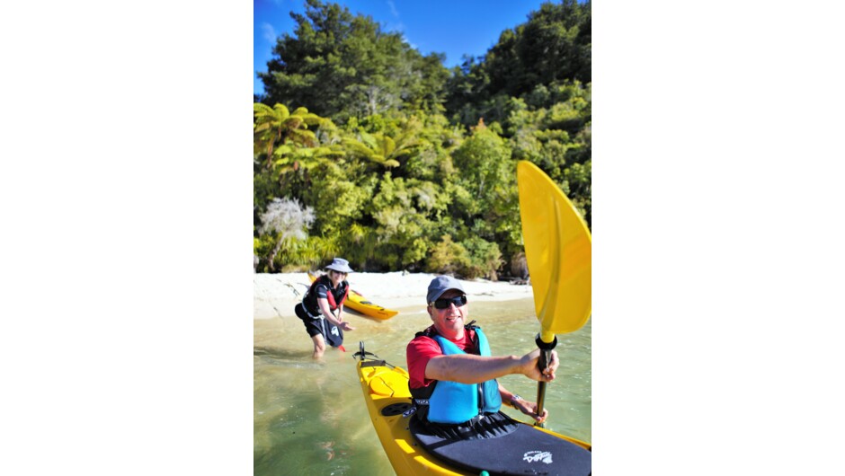 Guided Sea Kayak Abel Tasman