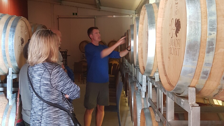 Wanaka Wine Tour