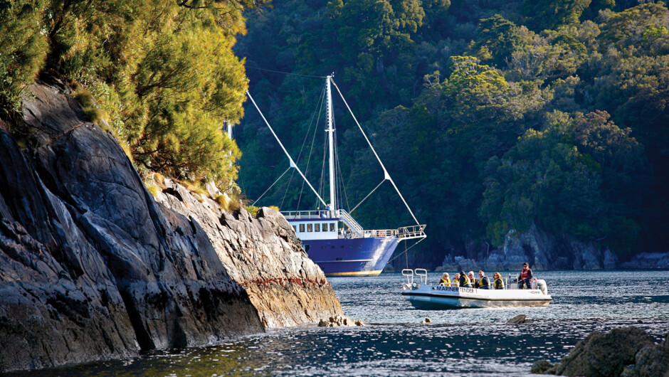 Overnight cruise, Milford Sound