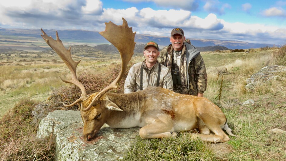 Fallow Deer Hunting