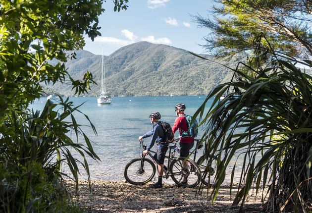 The Marlborough region is home to scenic sounds, award wining wines and brilliant cycling & walking tracks. Check out the top 10 experiences in Marlborough.