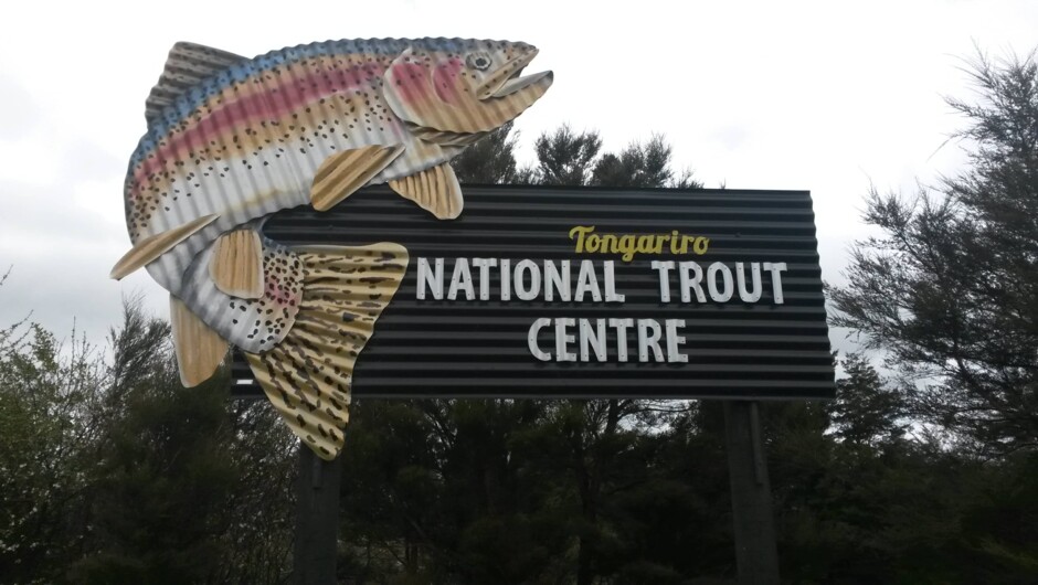 Turangi Tongariro Trout Centre
