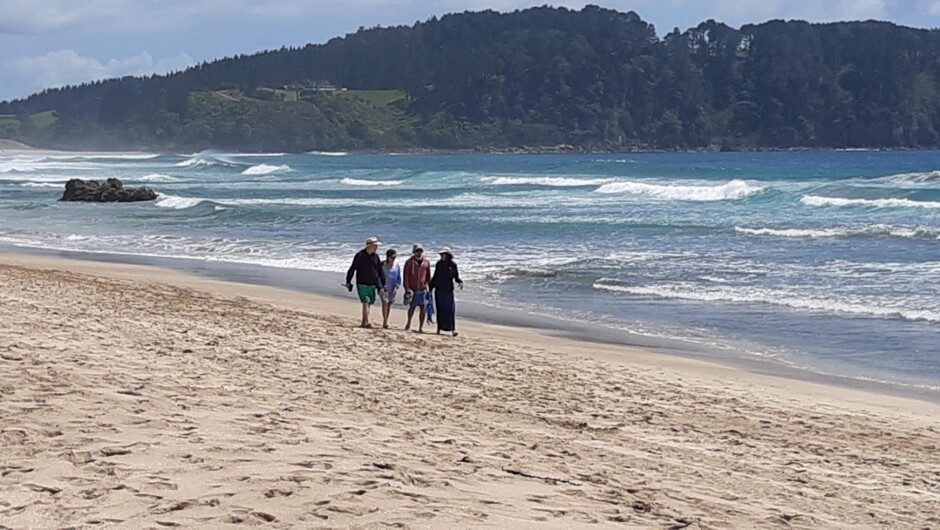 Spectacular white sand beaches are a feature of the southern Coromandel Peninsula.