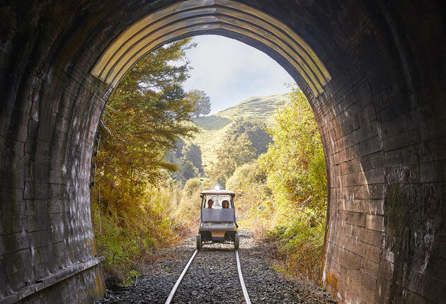 With the Whanganui National Park on one side and the Tongariro World Heritage area on the other, Taumarunui is a perfect base for adventure. Find out more.