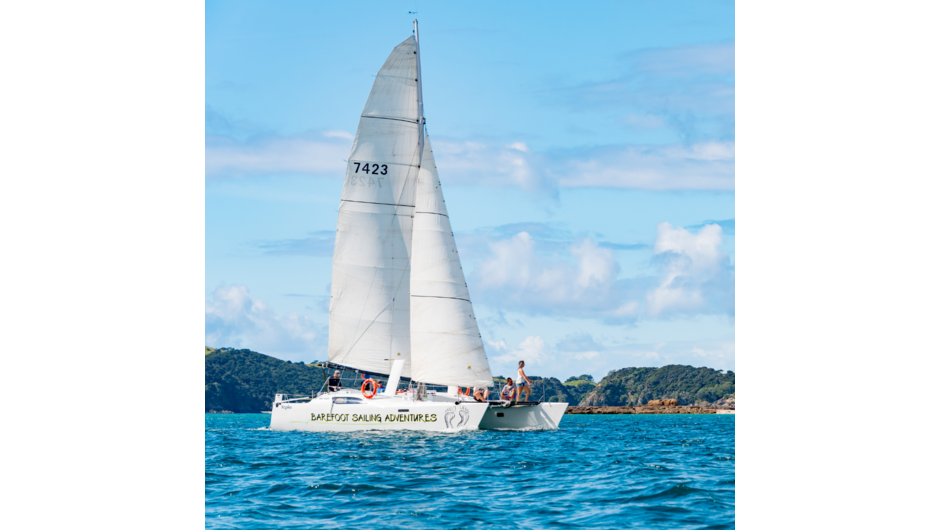 Sailing in the Bay of Islands couldn't be better!
