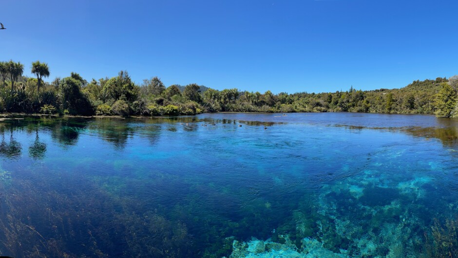 Te Waikoropupu Springs, the largest fresh water spring in New Zealand.