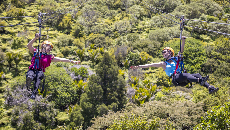 Fly above the forest canopy to experience our spectacular views.