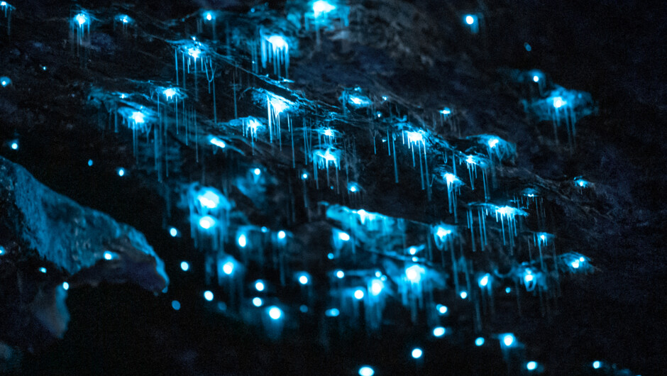 Te Anau Glowworm Caves