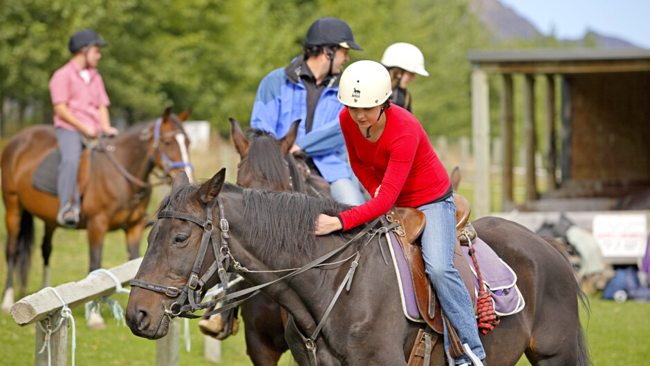 Walter Peak Horse Trek