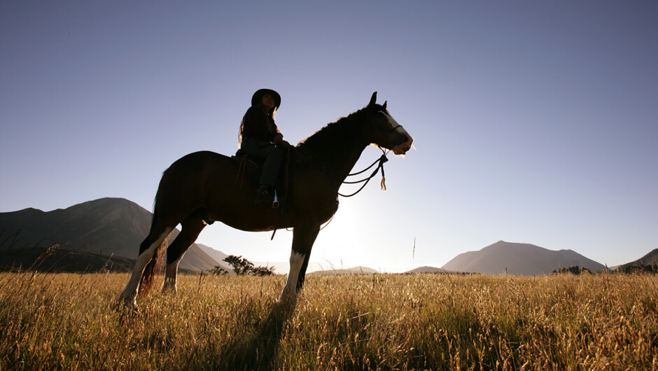 Horse Riding at sunrise