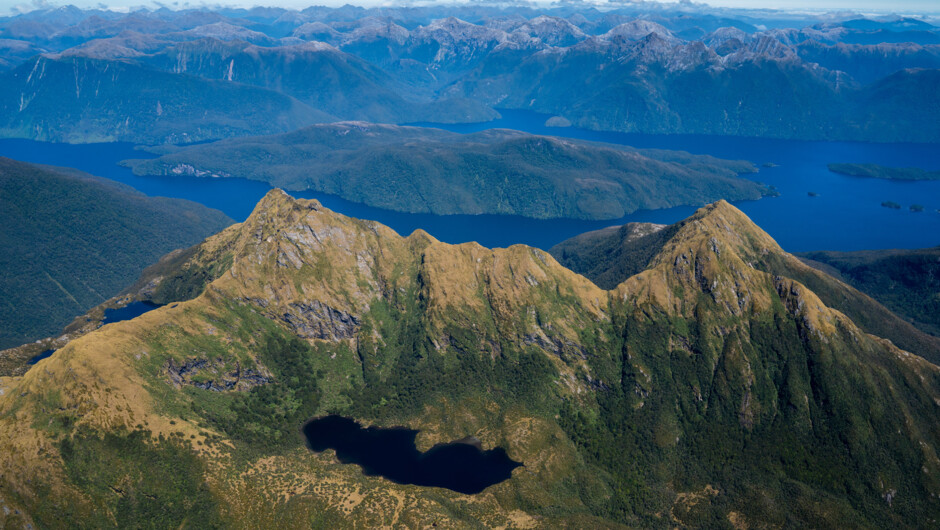 Fiordland