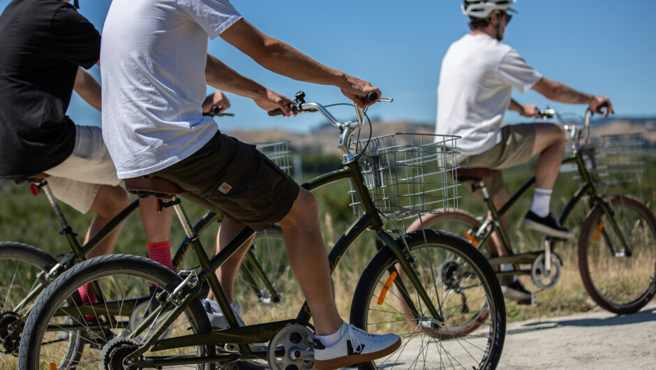 Our California super-comfy bikes.