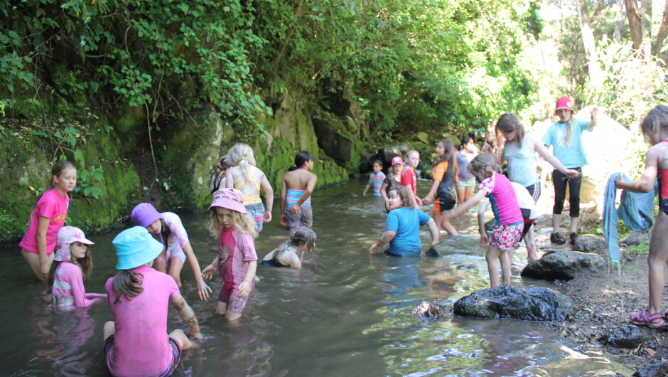 Our 'little river'. The Okuti River is a favourite place to play over summer. The river is mostly shallow, so ideal for smaller kids under supervision.