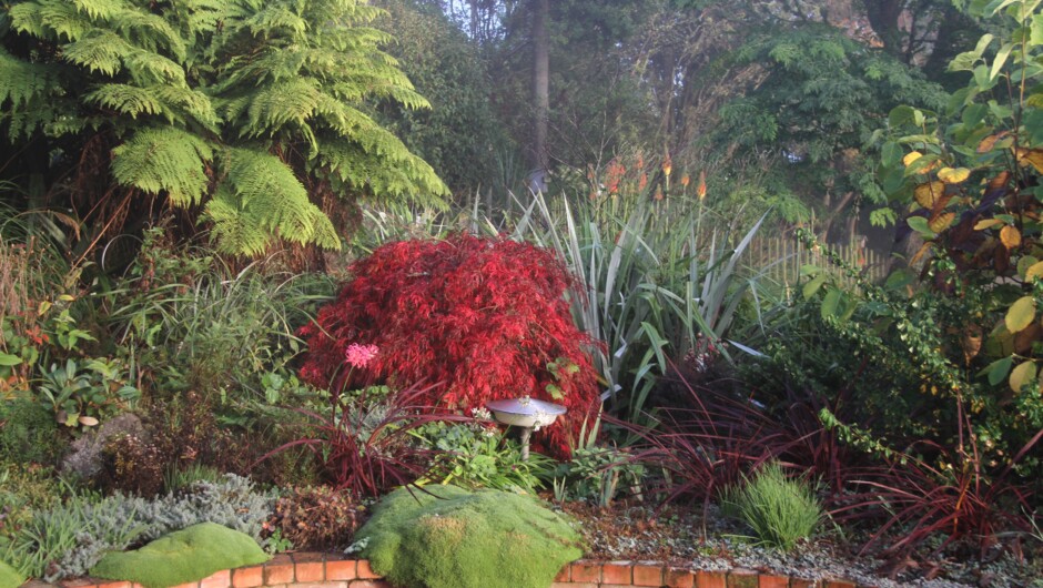 early winter, main terrace garden