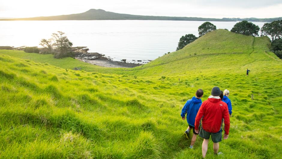 View of Rangitoto from Brown's Island