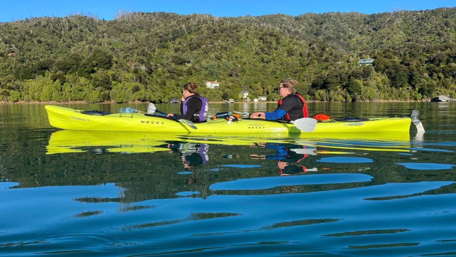 Tranquil waters of the Grove Arm, Queen Charlotte Sound.